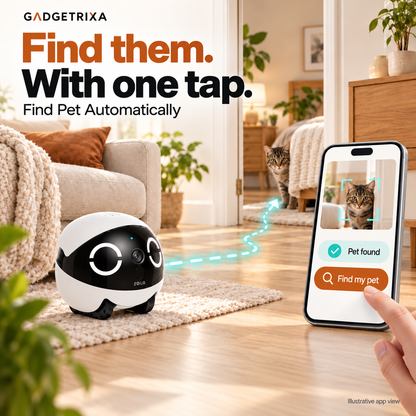 Automatic pet search, illustrated with a route to a cat and an app control.