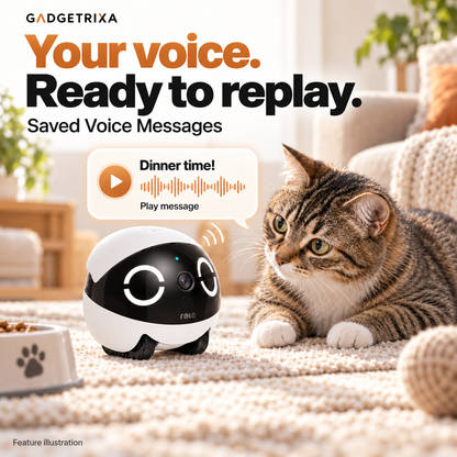 Record a personal voice message and replay it through the robot; feature illustration.