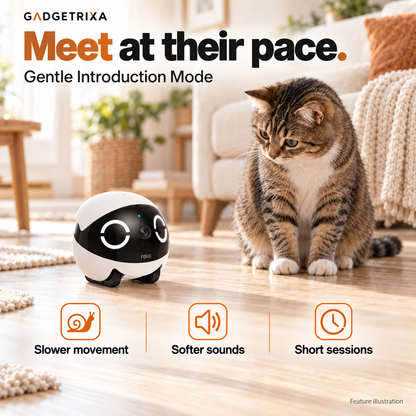 A cat meets the robot using slower movement, softer sounds and short sessions.