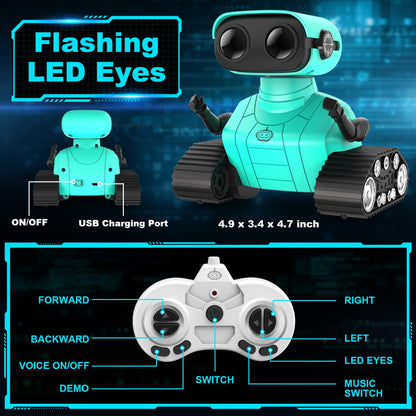 Hamourd RC Emo Robot