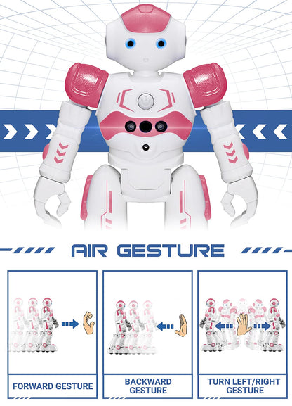 KingsDragon RC Robot