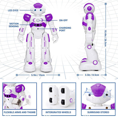 KingsDragon RC Robot