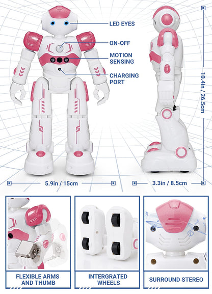 KingsDragon RC Robot
