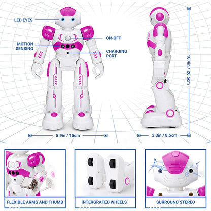 KingsDragon RC Robot