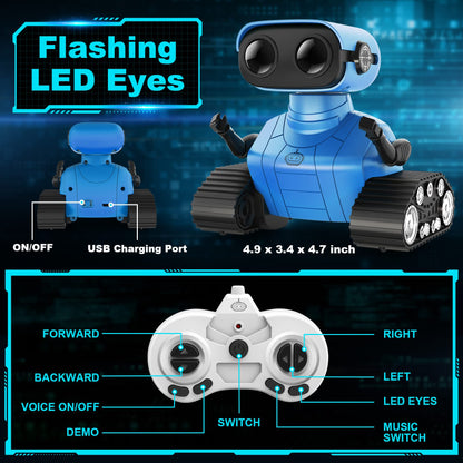 Hamourd RC Emo Robot