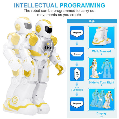 KingsDragon RC Gesture Sensing Robot