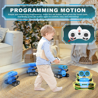 Hamourd RC Emo Robot