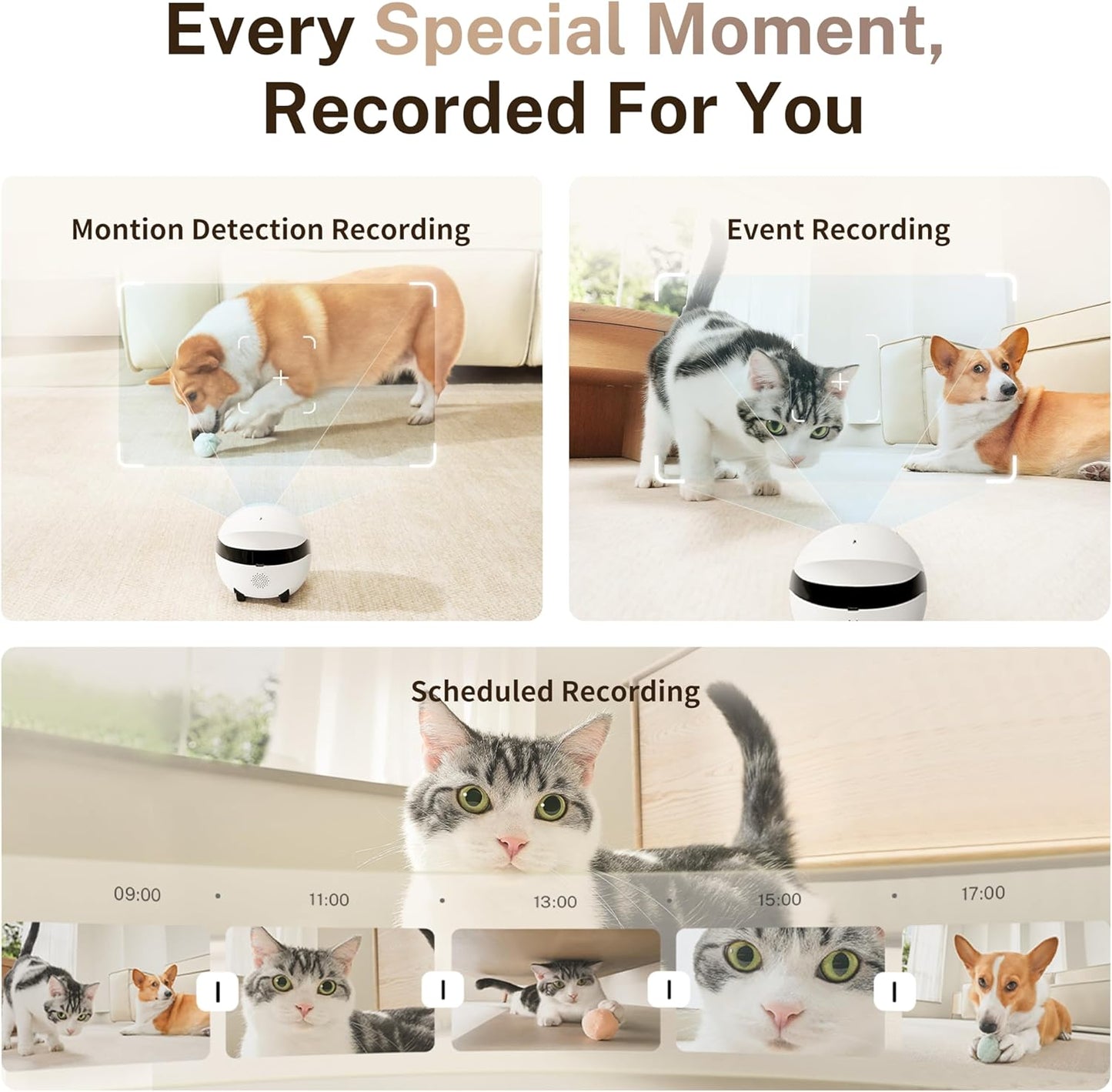 Enabot EBO ROLA Mini FamilyBot — 2K Movable Pet Camera