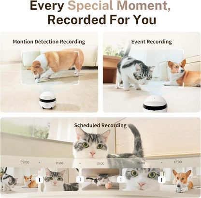 Enabot EBO ROLA Mini FamilyBot — 2K Movable Pet Camera